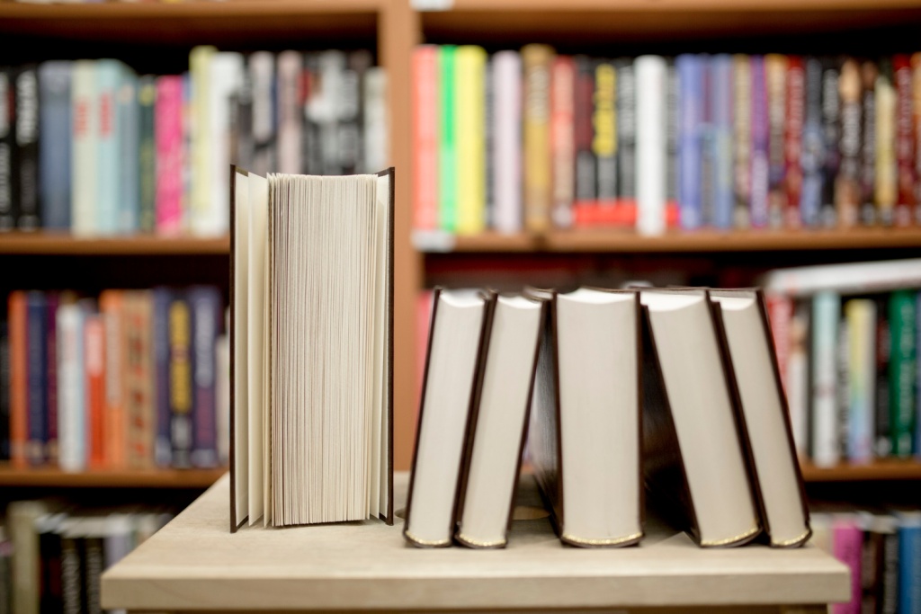 Бесплатный «книговорот» в Домодедово