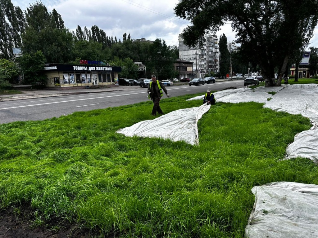 В Воронеже продолжается работа по восстановлению и обустройству газонов