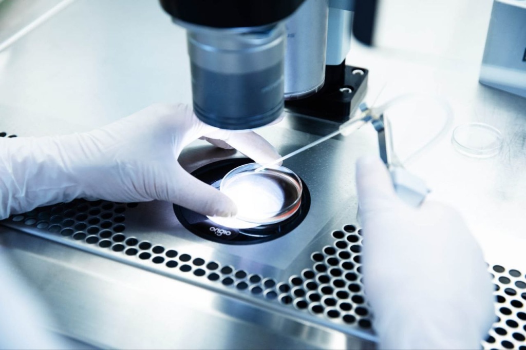 Современные подходы к сохранению мужского репродуктивного здоровья: актуальные стратегии и инновации