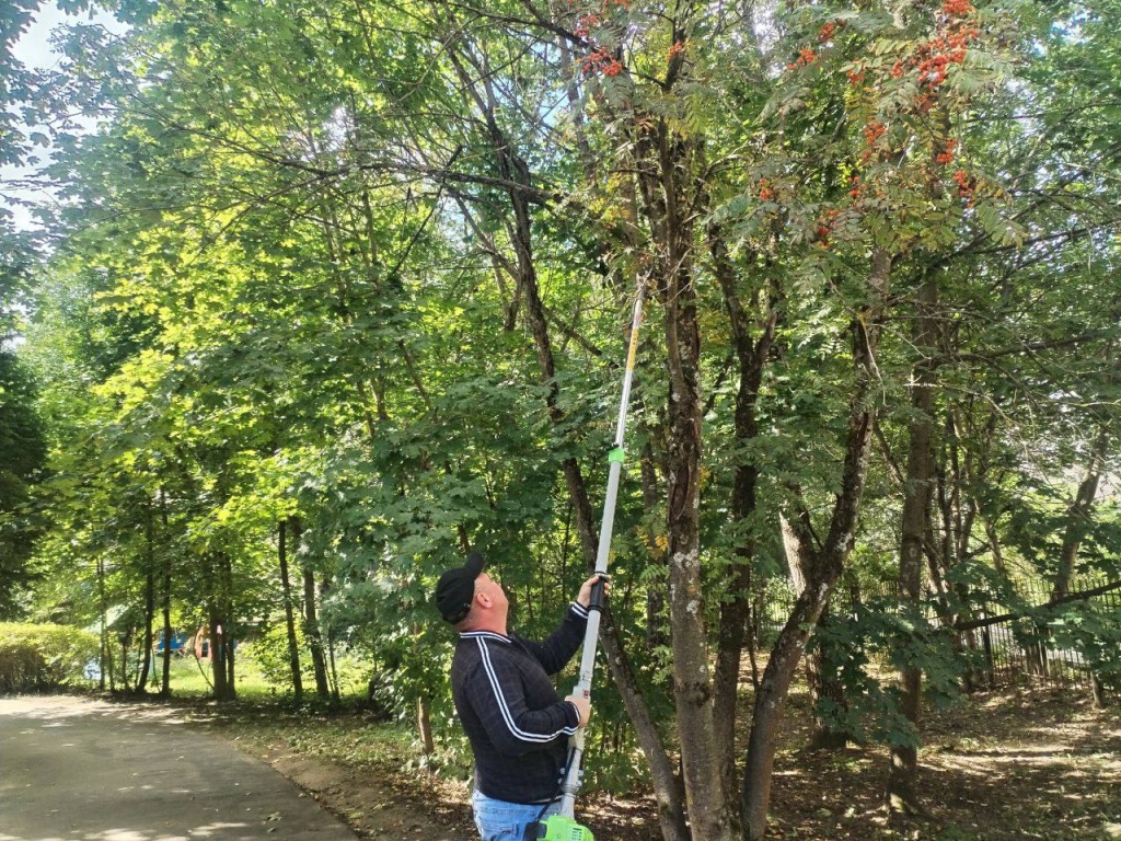 Масштабное благоустройство на территориях школ Красноармейска