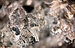 Россия выстраивает кооперацию по редкоземельным металлам